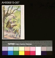 藏品(中國風景風俗繪畫明信片)的圖片